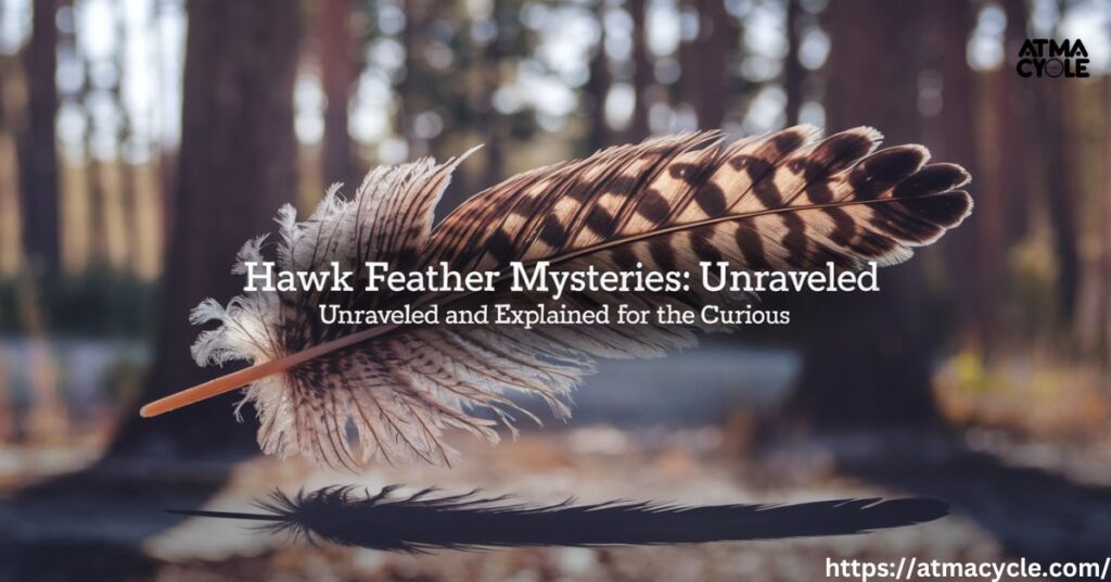 Hawk Feather Mysteries: Unraveled and Explained for the Curious