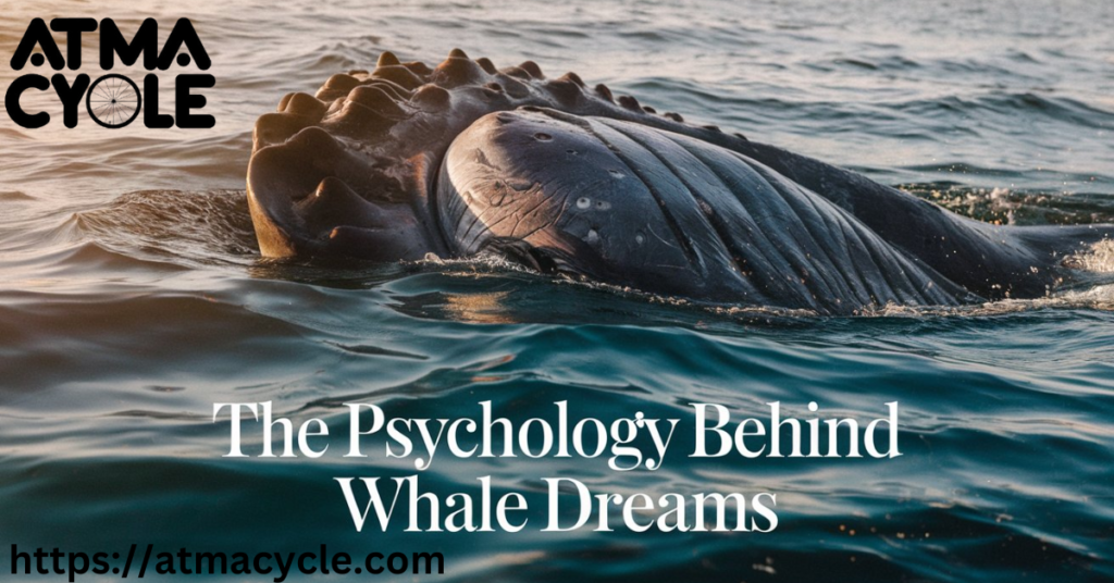 The Psychology Behind Whale Dreams